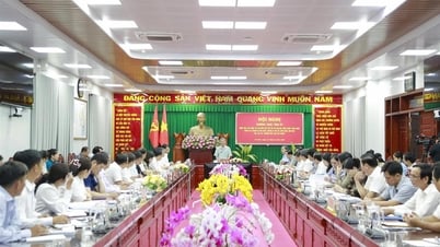 Thường trực Tỉnh ủy nghe báo cáo công tác chuẩn bị nhân sự, văn kiện đại hội cấp xã