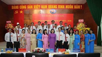 Congreso del Partido del Departamento de Salud de An Giang para el período 2025-2030