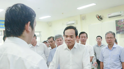 Kiểm tra tình hình chuẩn bị thực hiện chính quyền địa phương 2 cấp tại Khánh Hòa và Ninh Thuận