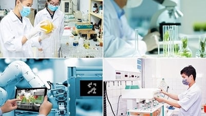2025년 과학, 기술, 혁신 및 디지털 전환 저널리즘 어워드 출범