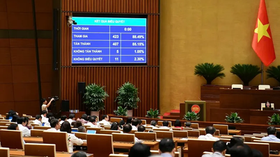 TPHCM và 5 tỉnh, thành thí điểm việc Viện Kiểm sát nhân dân khởi kiện vụ án dân sự