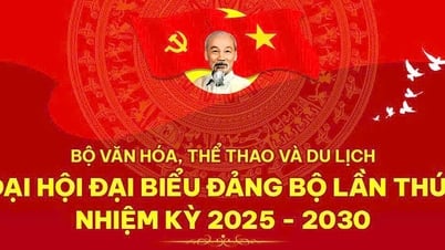 2025～2030年度文化体育観光省党委員会第1回大会