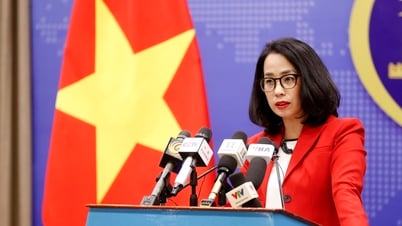 Élaboration d'un plan d'évacuation des citoyens vietnamiens d'Israël et d'Iran
