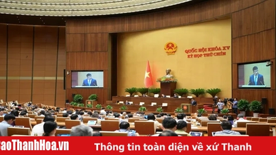Thí điểm Viện kiểm sát khởi kiện để bảo vệ nhóm dễ bị tổn thương, lợi ích công