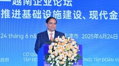 La comunidad empresarial entre Vietnam y China coopera sin límites, creando para el desarrollo