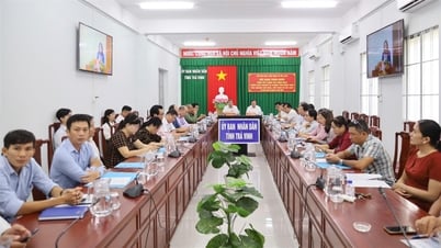Năm 2024 du lịch Việt Nam thu hút 17,5 triệu lượt khách quốc tế