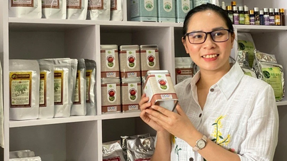 Gia Lai: 12 sản phẩm của 3 chủ thể được công nhận OCOP 4 sao đợt 1 năm 2025