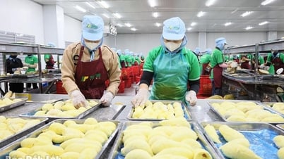 두리안 산업 긴급 재건