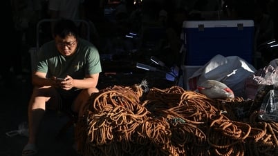 Angesichts der Schwierigkeiten mit den USA wenden sich chinesische Unternehmen Europa und Südostasien zu