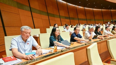 Chính thức quản lý cán bộ, công chức theo vị trí việc làm