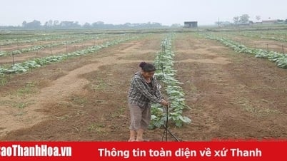 Increase income for rural people