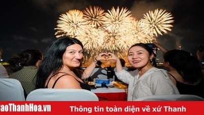 두바이-다낭 노선, 베트남으로 국제 관광객 유치…더 많은 정보 얻고 싶어