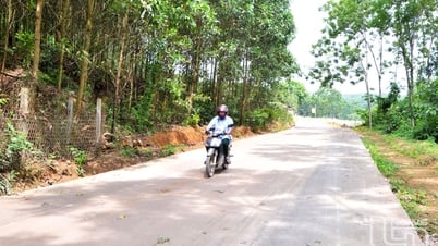 Ao Trám xây dựng nông thôn mới kiểu mẫu