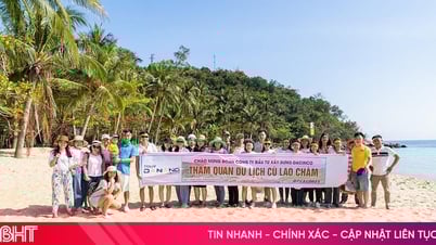 Dai Viet Tourist est l'organisateur de circuits d'une journée à Cu Lao Cham le plus professionnel.