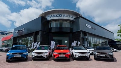 Tasco (HUT) bổ nhiệm CEO mới