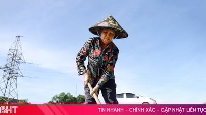 Deuxième plantation : les agriculteurs de la ville de Ky Anh prennent bien soin du riz d'été-automne