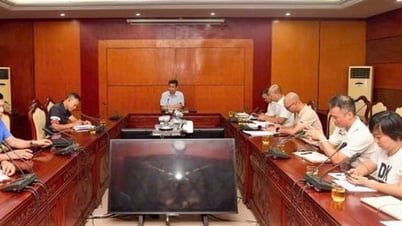 Rà soát chặt chẽ công tác tuyển chọn, tập huấn và quản lý VĐV trẻ quốc gia