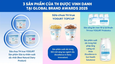 TH true YOGURT ghi dấu ấn mạnh mẽ tại Global Brand Awards 2025