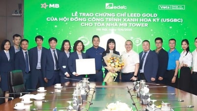 برج إم بي يحصل على شهادة LEED الذهبية، مما يمثل خطوة للأمام في استراتيجية التنمية المستدامة