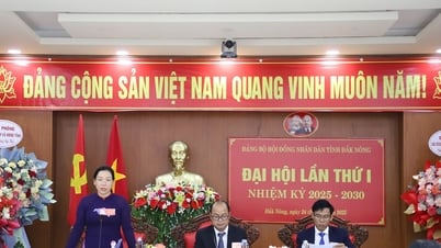 មហាសន្និបាតលើកទី១ នៃគណៈកម្មាធិការបក្សក្រុមប្រឹក្សាប្រជាជនខេត្ត Dak Nong អាណត្តិឆ្នាំ ២០២៥ - ២០៣០
