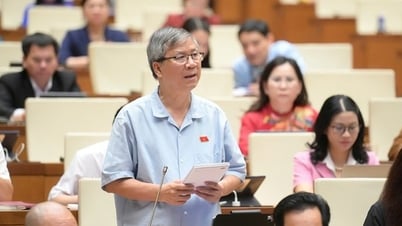 国会議員が「中等教育の試験に合格するのは難しいが、修士課程に入るのは簡単だ」と奇妙な発言
