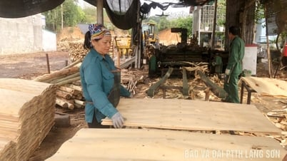 Produktion von geschältem Sperrholz in Huu Lung: Notwendigkeit einer stärkeren Verknüpfung von Produktion und Verbrauch.