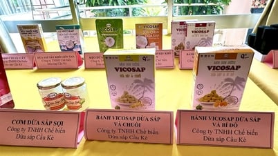 Trà Vinh có thêm 10 sản phẩm đạt OCOP 4 sao
