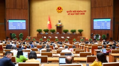 Monitoring provincial mergers, North-South high-speed railway in 2026