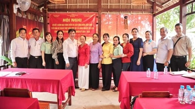 Tổng doanh thu từ các hoạt động du lịch của điểm du lịch cộng đồng Cồn Chim trong 5 năm đạt khoảng 24 tỷ đồng
