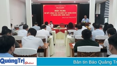 Sơ kết công tác tổ chức xây dựng Đảng 6 tháng đầu năm 2025