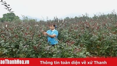 Bức tranh nhiều gam màu sáng