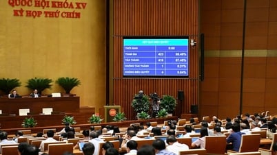 Biểu quyết thông qua 6 Luật, 2 Nghị Quyết của Quốc hội và thảo luận 2 nội dung quan trọng