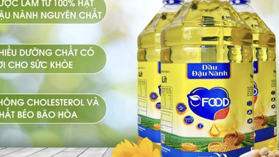 Dầu ăn cho thức ăn chăn nuôi thành thực phẩm cho người: Bộ Y tế nói gì?