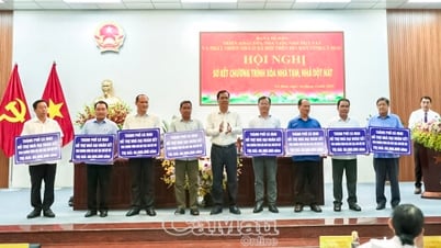 Party members contribute to housing