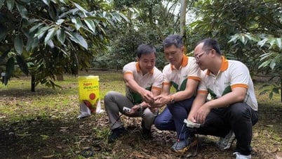 ควบคู่ไปกับเกษตรกรรมสมัยใหม่และยั่งยืน