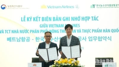 Vietnam Airlines hợp tác với aT mang văn hóa ẩm thực Hàn Quốc đến Việt Nam