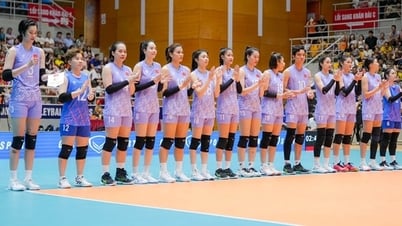 Tuyển bóng chuyền nam và nữ Việt Nam sẽ tập huấn tại Nhật Bản chuẩn bị cho SEA Games 33