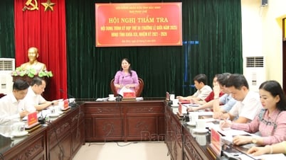 Thẩm tra các nội dung kỳ họp thứ 30, HĐND tỉnh khóa XIX thuộc lĩnh vực Pháp chế