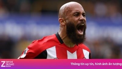 تقدم MU سعرًا قياسيًا لمبيومو