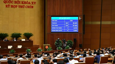 The National Assembly passed the Law on Cadres and Civil Servants (amended): Strengthening management and handling of violations after leaving work or retiring