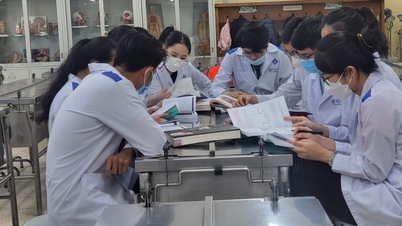 ضرورة تعزيز آلية مراقبة برامج التدريب الطبي