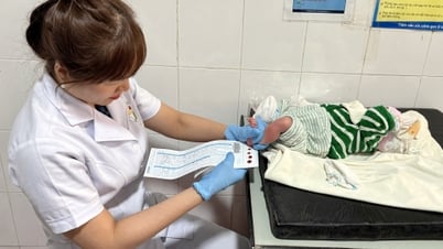 الاستجابة لليوم العالمي للسكان (11 يوليو): الفحص المبكر لعوامل الخطر المرتبطة بالمرض