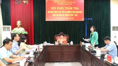 Ban Kinh tế - Ngân sách thẩm tra nội dung trình kỳ họp thường lệ giữa năm HĐND tỉnh