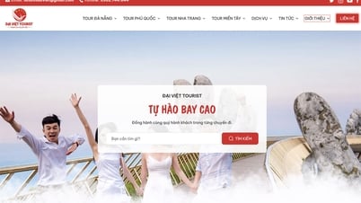 تنظم شركة داي فيت السياحية جولات سياحية مرموقة وعالية الجودة إلى دا نانغ