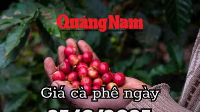 ข่าวสาร คาดการณ์ราคากาแฟพรุ่งนี้ 26 มิ.ย.68 ดันราคาพุ่งแตะจุดสูงสุดอีกครั้ง