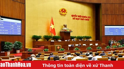 Ngày 25/6, Quốc hội biểu quyết thông qua việc thành lập Hội đồng Hội đồng bầu cử quốc gia