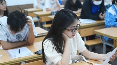 Summary of mock high school graduation exam questions in English in 2025