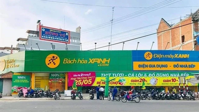 Thế giới Di động đẩy mạnh mở chuỗi Bách hoá Xanh và Erablue trong đầu năm 2025