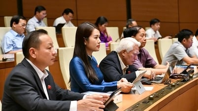 Hôm nay, Quốc hội chốt bỏ thanh tra bộ, tổng cục, sở, huyện