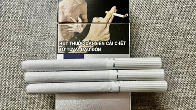 Die Raucherquote sinkt weltweit